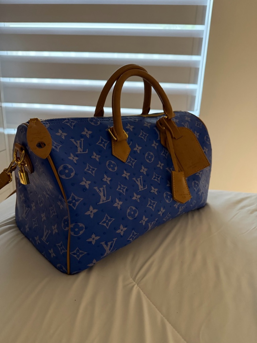 Louis Vuitton Blue Monogram Speedy 40 duffle bag/purse